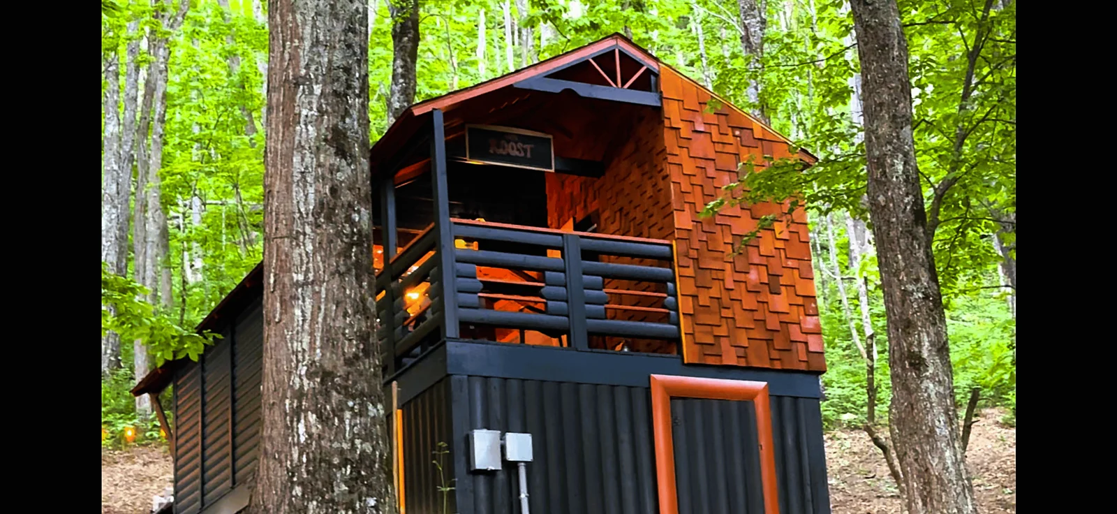 The Roost cabin above the forest canopy